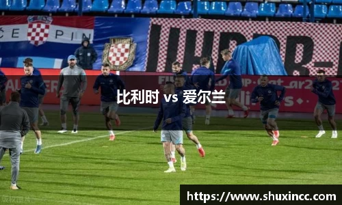 比利时 vs 爱尔兰