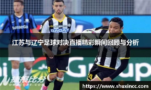 江苏与辽宁足球对决直播精彩瞬间回顾与分析