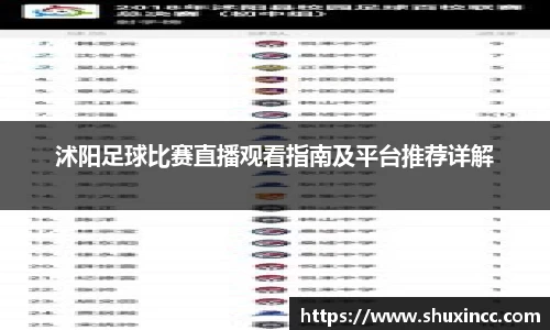 沭阳足球比赛直播观看指南及平台推荐详解
