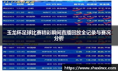 玉龙杯足球比赛精彩瞬间直播回放全记录与赛况分析